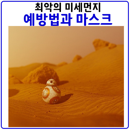 미세먼지 예방과 대비법. 이 정도는 알고 준비해요.