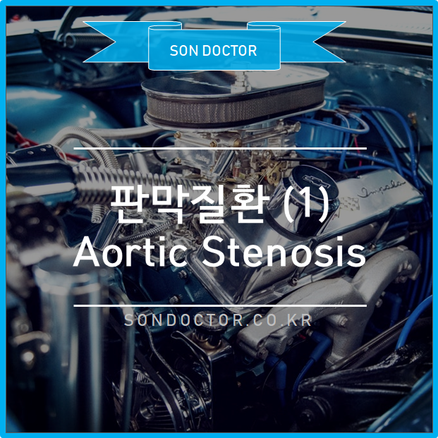 [MC] 판막질환 (1) Aortic Stenosis