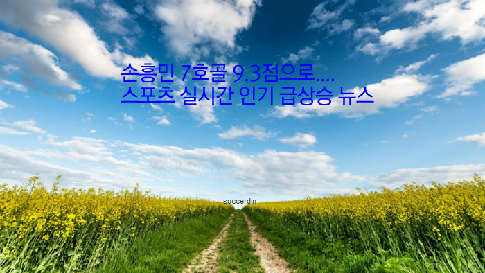 손흥민 7호골 9.3점으로..스포츠 실시간 인기 급상승 뉴스
