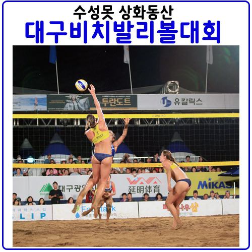 대구비치발리볼 대회(FIVB)