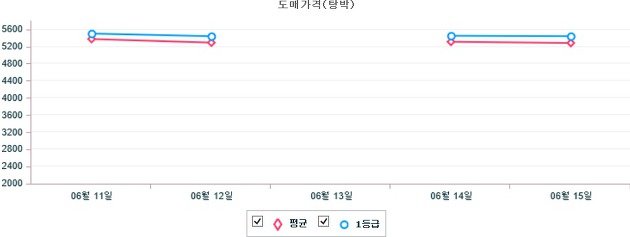 기간별 돼지 도매가격(탕박) 동향(6월 11일 ~ 6월 15일)