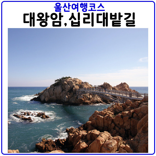 울산여행코스,대왕암부터 십리대밭길 왕발통까지