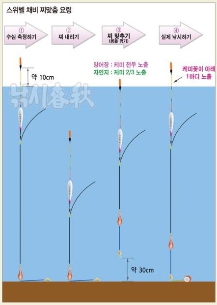 군계일학 성제현의 스위벨 채비 찌맞춤 요령