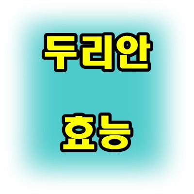 냄새나는 과일 두리안 효능