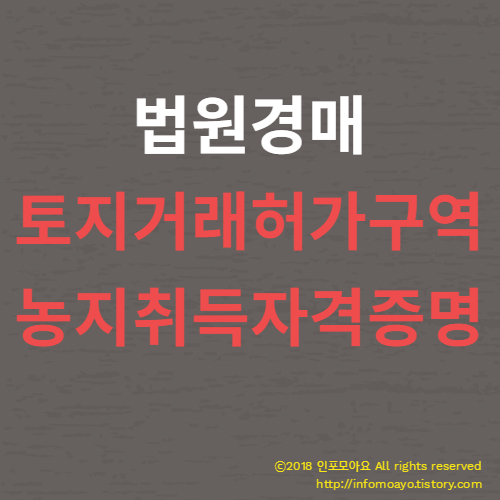 법원경매 - 토지거래허가구역, 농지취득자격증명