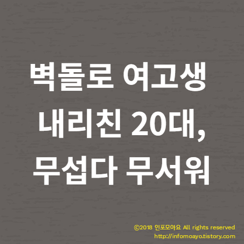 벽돌로 여고생 내리친 20대, 무섭다 무서워