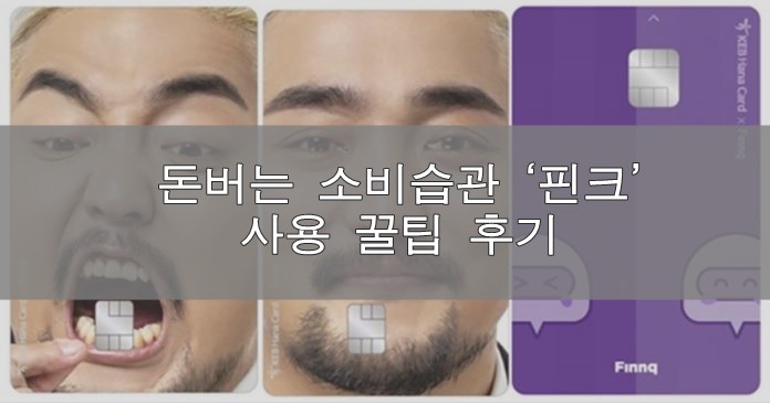 돈관리 재테크 꿀팁 핀크 후기