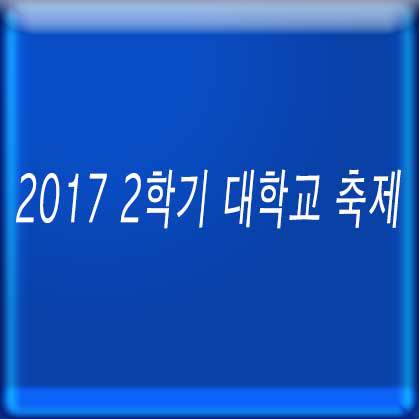 2017 2학기 대학교 축제