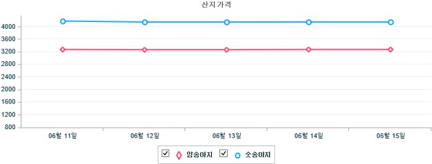 기간별 한우 산지 가격 동향(6월 11일 ~ 6월 15일)