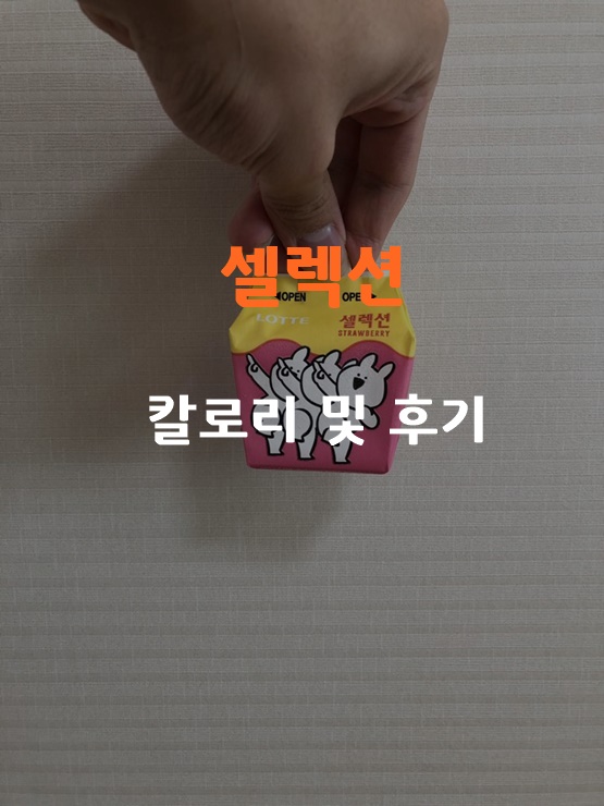 셀렉션: 롯데제과 아이스크림 셀렉션 초코, 딸기맛 칼로리 및 후기