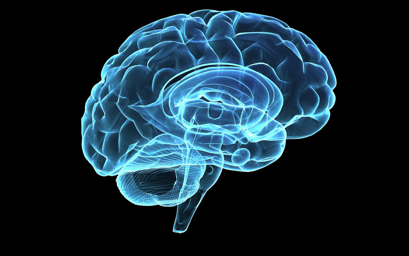 뇌출혈 뇌경색 뇌졸중 초기 전조증상