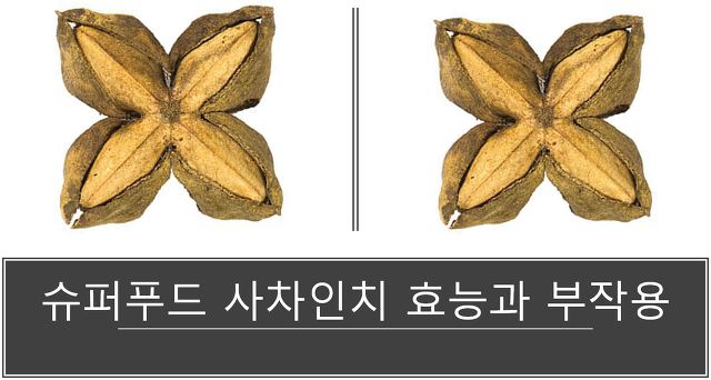 슈퍼푸드 사차인치 | 효능과 부작용에 대하여