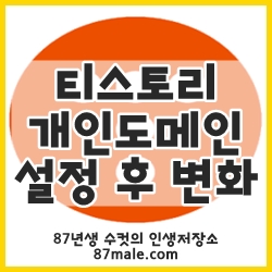 티스토리 개인도메인 연결 후 달라진 점.