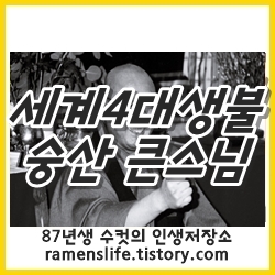 살아있는 부처. 세계 4대 생불(生佛)이라 불렸던 숭산 큰스님.