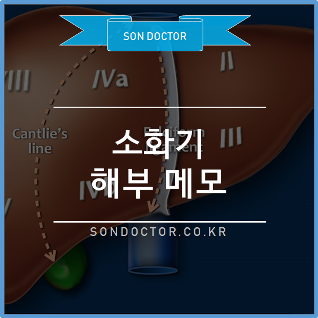 소화기 해부 메모