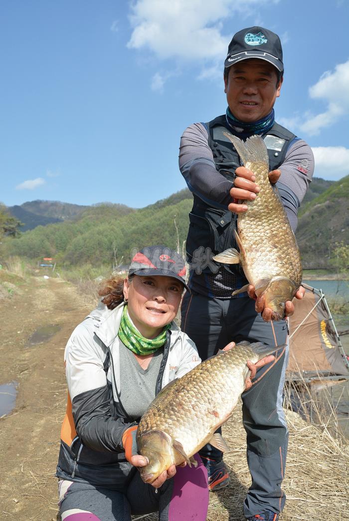 [충주]추평저수지