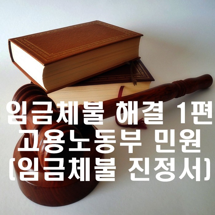 1,*00만원 임금체불 해결 1편 - 고용노동부 민원(임금체불 진정서)