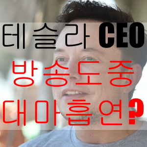 테슬라 CEO 엘론 머스크 방송중 대마흡입???