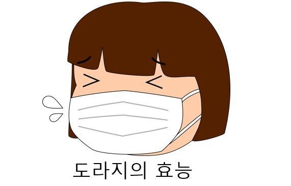 도라지 효능과 부작용