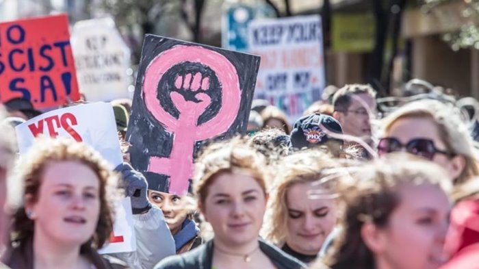 한국형 페미니즘 및 성문화, 원숭이 정치학 - 1