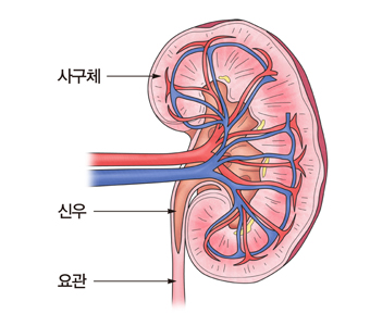 신 이미지