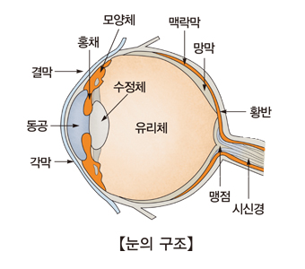 내로 이미지