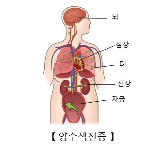 내로 이미지