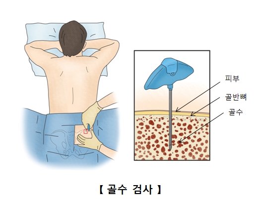 내로 이미지