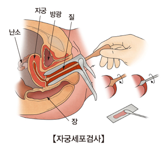 내로 이미지