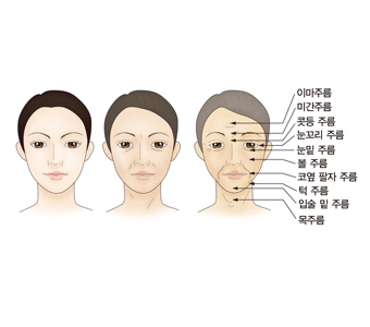 코고 이미지