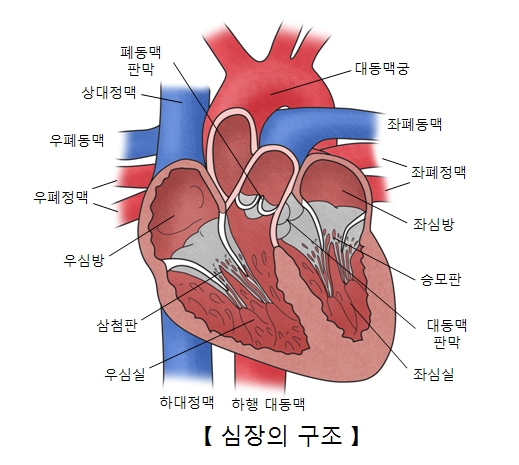 온전 이미지