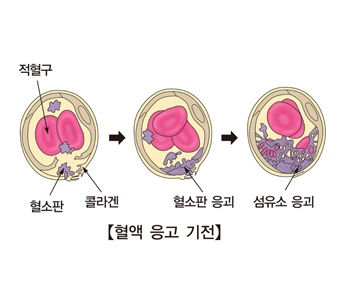내로 이미지