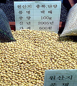 콩이락 이미지