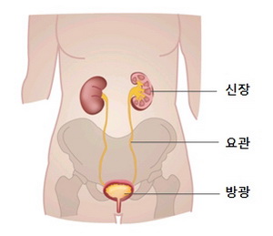 욘가 이미지