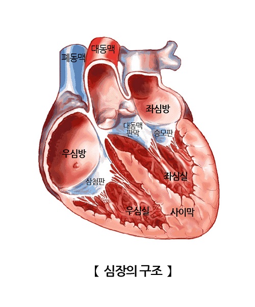 막# 이미지