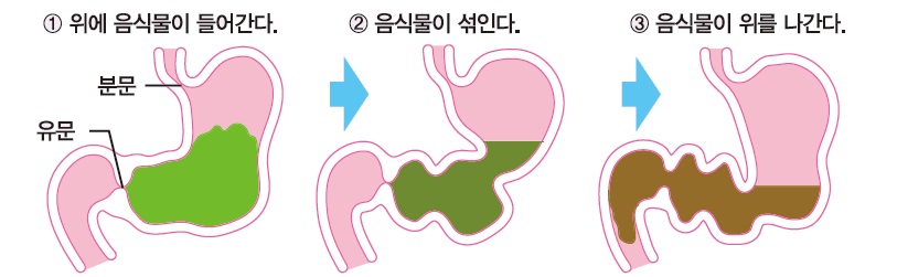 위 이미지