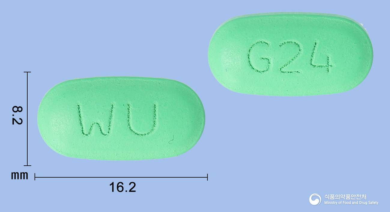 240 이미지