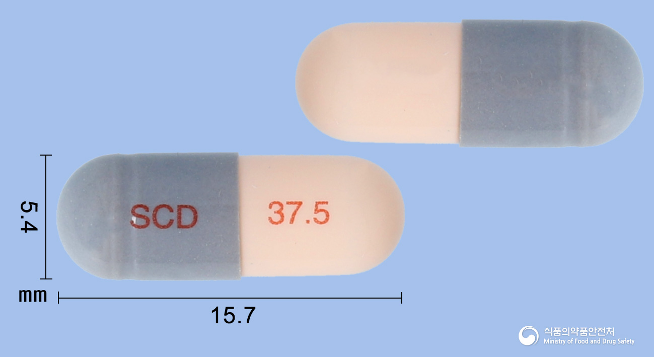 37.5 이미지