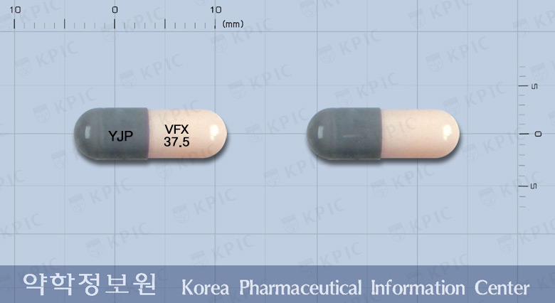 37.5 이미지