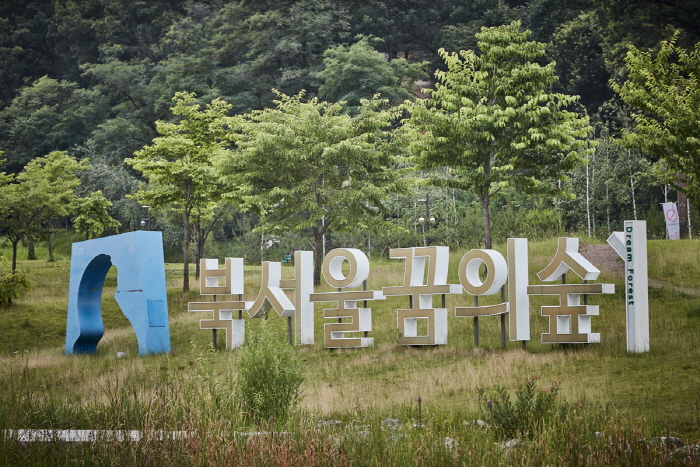 숲 이미지
