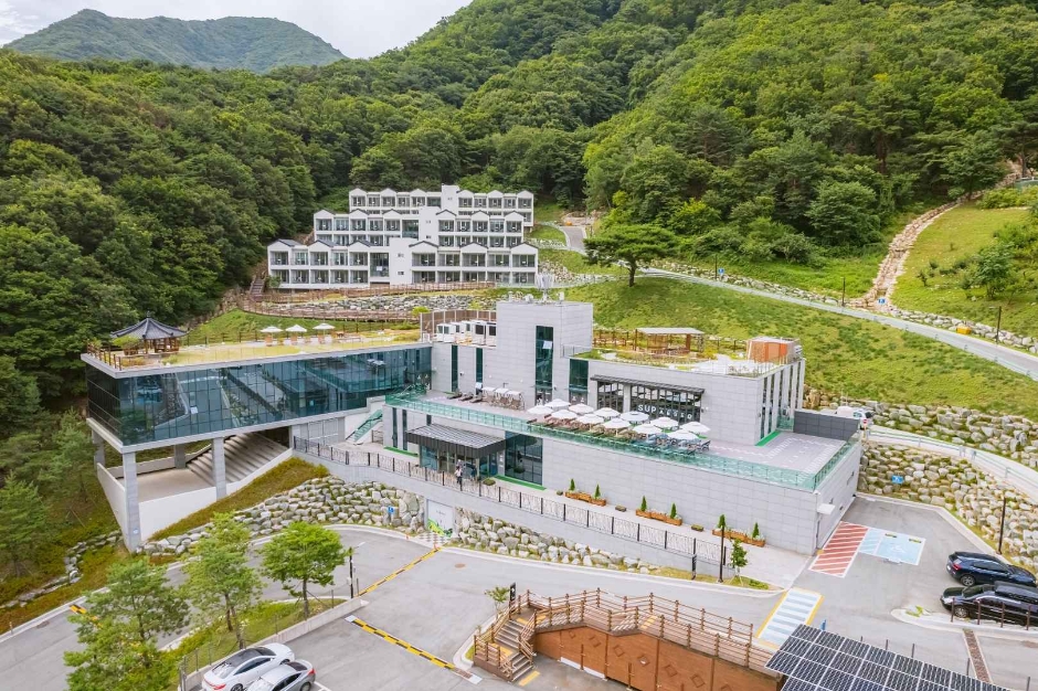숲에서 이미지