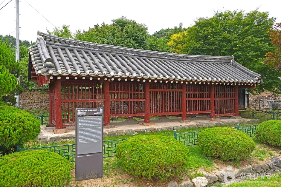 이씨이씨 이미지