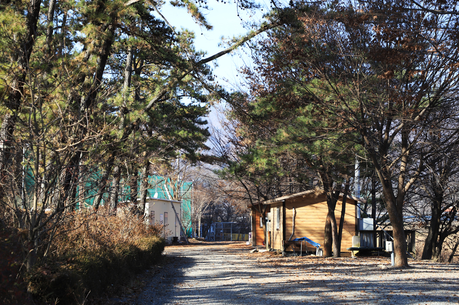 솔밭체육공원 오토캠핑장 이미지