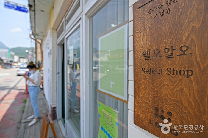 엘이네 이미지