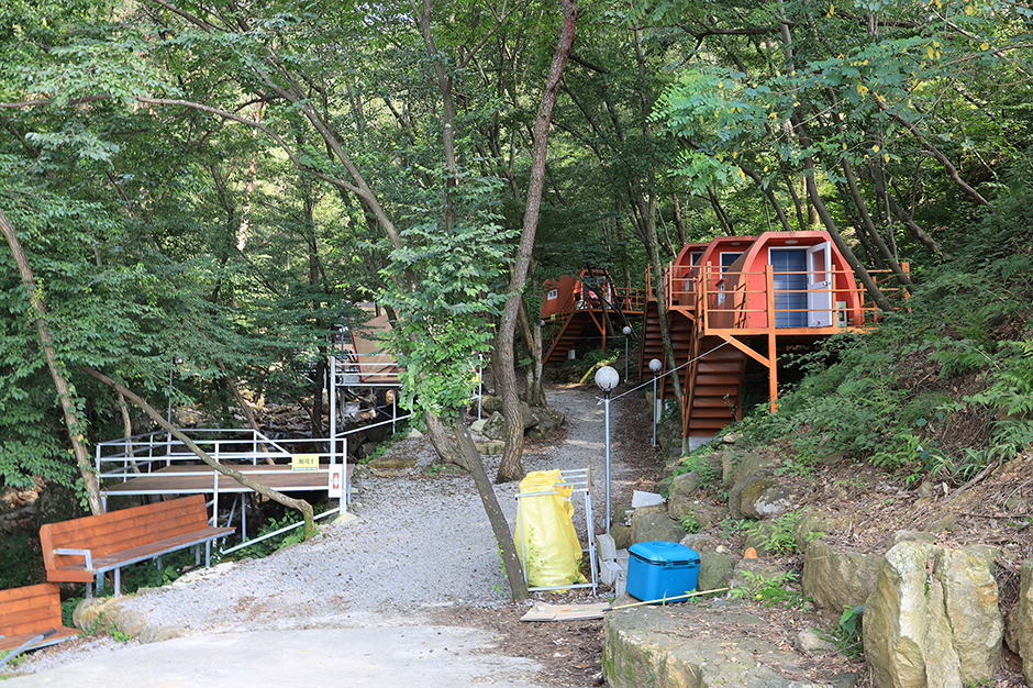 in 이미지