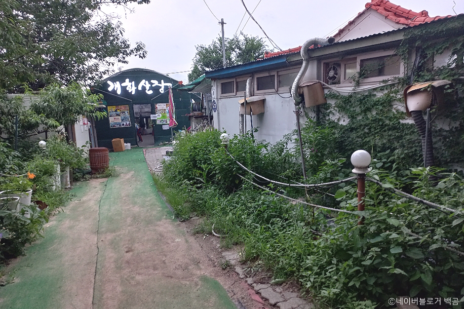 개화산장 이미지