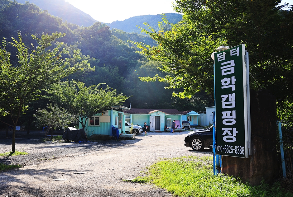 담터 금학캠핑장 이미지
