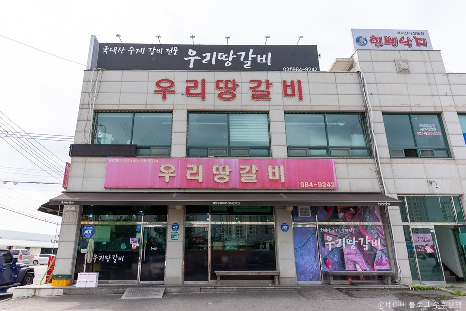 땅이지 이미지