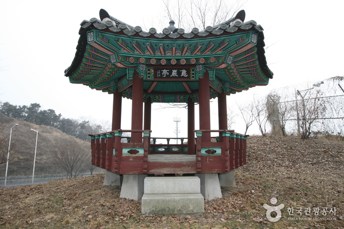 터 이미지