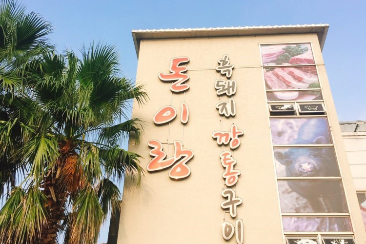 돈이요 이미지
